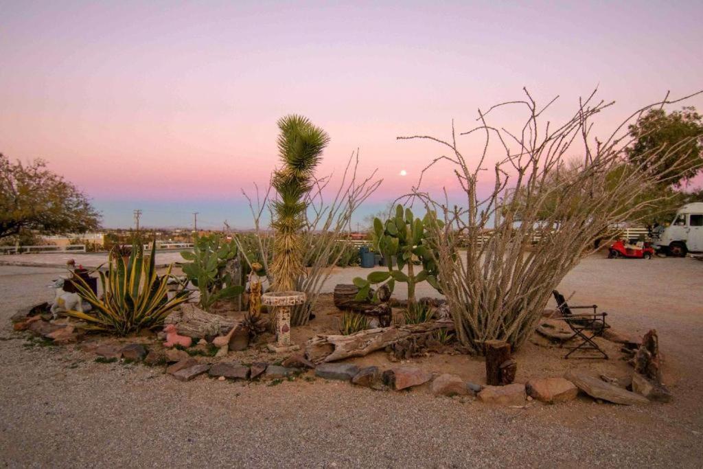 Joshua Tree Ranch House Motel - Downtown - Room #4 Esterno foto