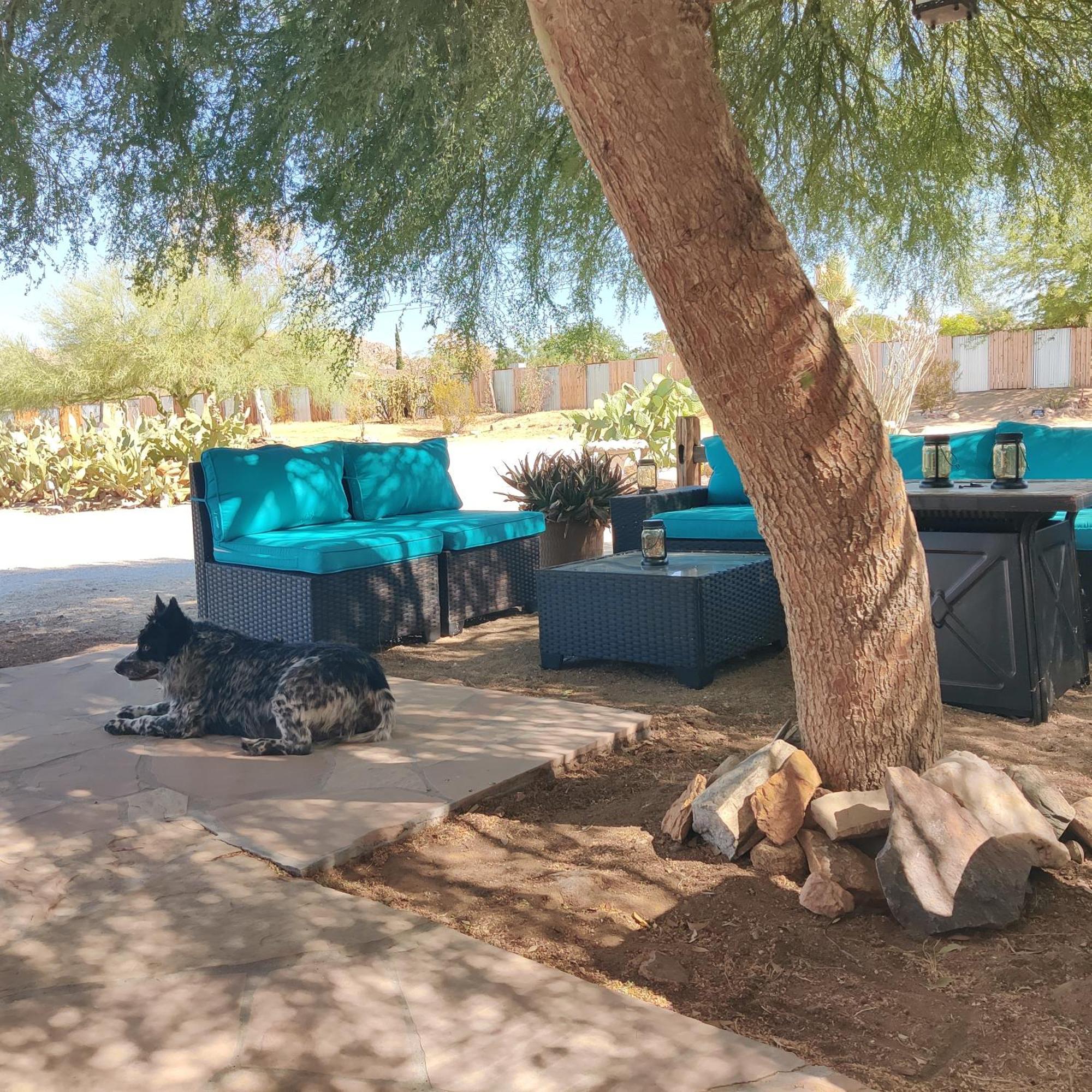 Joshua Tree Ranch House Motel - Downtown - Room #4 Esterno foto